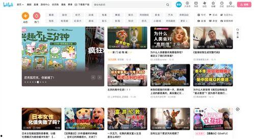 最新国产网站,创新驱动，引领行业未来